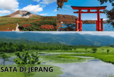 Healing Yuk! 3 Wisata di Jepang Terbaik ini Wajib Kamu Kunjungi Gaes, Asli Seru Banget Lho...