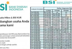 KUR Syariah BSI 2025, Pinjam Modal Tanpa Riba Cocok untuk Modal Usaha Hingga Rp500 Juta, Yuk Ajukan!