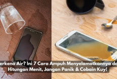 HP Terkena Air? Ini 7 Cara Ampuh Menyelamatkannya dalam Hitungan Menit, Jangan Panik & Cobain Kuy! 