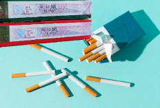 Perokok Auto Senyum! Purbaya:  Tahun Depan Harga Rokok Aman, Cukai Gak Naik!