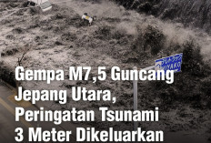 Peringatan Tsunami 3 Meter Pasca Gempa M7.4 di Lepas Pantai Miyako, Jepang, WNI Harap Ikuti Intruksi