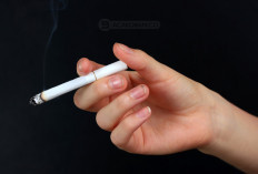 Mitos Terbesar Merokok! Benarkah Nikotin yang Menyebabkan Penyakit...