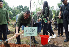 Peringati Hari Bakti Rimbawan ke-41, Plh Sekda Edward Candra Tanam 400 Bibit Pohon di Punti Kayu