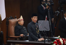 Dahsyat! Pemerintah Anggarkan Rp 124,4 Triliun Untuk Ketahanan Pangan, Ini Harapan Jokowi 