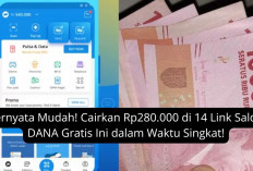 Ternyata Mudah! Cairkan Rp280.000 di 14 Link Saldo DANA Gratis Ini dalam Waktu Singkat!