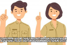 PNS dan PPPK Wajib Tau! Ini Daftar Hak dan Kewajiban ASN yang Telah  Diatur UU Nomor 20 Tahun 2023