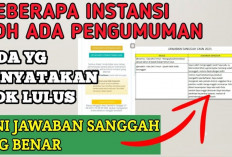 SIMAK! 9 Contoh Kalimat Sanggahan Buat Kamu yang TMS di Seleksi Administrasi CPNS 2024