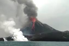 Setelah Gunung Marapi Kini Giliran Krakatau Yang Erupsi, Semburkan Abu Vulkanik 2 Km