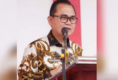 Pj Bupati Banyuasin Digadang Maju Pilkada 2024, Hani Syopiar: Fokus Agar Bisa Amanah...