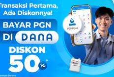 Mantul! Bayar Listrik PLN Diskon 50 Persen dan Bisa Super Murah Pakai Link Penghasil Saldo DANA Gratis di Sini