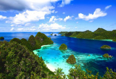 Raja Ampat, Pulau Dengan Surga Bawah Laut Tercantik di Dunia, Ini 5 Spot Terbaiknya