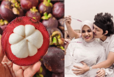 Netizen Heran, Buah Manggis Apakah Bagus Untuk Ibu Hamil? Yuk Simak 10 Manfaatnya Disini...
