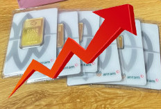 Harga Emas Antam Terus Meroket, Kembali Catatkan Rekor Tertinggi, Tembus Segini!