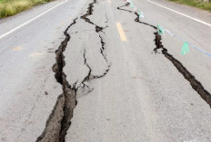 BMKG : Gempa Kupang Timbulkan Kerusakan Ringan, Dipicu Aktivitas Sesar Aktif