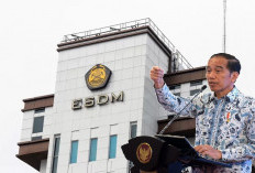 Jokowi Pastikan Tunjangan PNS Kementerian ESDM Naik Sebelum Lengser 20 Oktober mendatang!