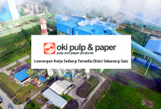 PT Oki Pulp & Paper Mills Buka 2 Lowongan Kerja Untuk S1, Jangan Lewatkan Kesempatan Ini!