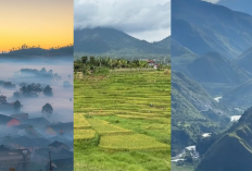 Liburan Sejuk! 3 Destinasi Wisata Paling Dingin di Indonesia yang Harus Masuk Bucket List