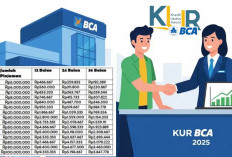 Simulasi KUR BCA 2025 Terbaru: Bunga Rendah, Proses Mudah & Cicilan Ringan Mulai Rp5 Juta