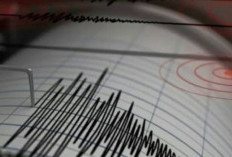 Gempa Besar M 7,6 Guncang Jepang, Tsunami 5 Meter Ancam Pantai Barat, Siaga Evakuasi Massal!