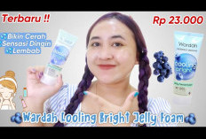 Ladies, Yuk Kenali Kandungan Wardah Cooling Bright Jelly yang Memberikan Sensasi Kesegaran Dalam Sekali Pakai!