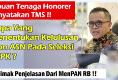 Mohon Maaf! Menpan RB Ungkap Penyebab Ribuan Honorer Tersingkir dari Seleksi PPPK 2024