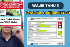 4 Cara Mengatasi Kartu Ujian SKD 2024 yang Tidak Muncul di SSCASN, Pelamar CPNS Wajib Tau!