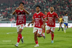 5 Laga Tanpa Kekalahan, Pelatih Bali United Ingatkan tetap Waspada saat Jumpa PSM, Ini Gegaranya 