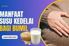 5 Manfaat Susu Kedelai Bagi Ibu Hamil dan Janin yang Jarang Diketahui, Apa Aja Ya? Cekidot!