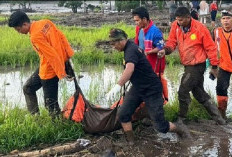 Update Korban Banjir Bandang Lahar Dingin Sumbar, Total 37 Orang Tewas, 17 Warga Hilang...