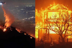 Selebriti Top Hollywood Terdampak Kebakaran Los Angeles, Rumah Ludes Terbakar, Pilih Evakuasi ke Tempat Aman!