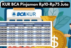 KUR BCA Pinjaman Rp10-Rp75 Juta, Bunga 0,5 Persen & Tenor Panjang, Yuk Cek Simulasi Cicilan di Sini!