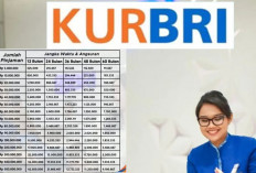 Bunga KUR BRI 2025 Turun Jadi Cuma 3 Persen! Modal Usaha Makin Ringan, Cicilan Nggak Bikin Pusing!