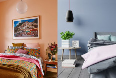 3 Rekomendasi Cat Rumah Bagian Dalam: Pilihan Warna Cerah yang Bikin Ruangan Lebih Hidup! 