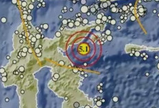 BMKG: Gempa 5,1 Magnitudo Mengguncang Banggai Kepulauan Sulawesi Tengah, Waspada Potensi Lebih Besar?