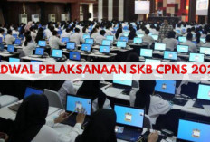 Siap-Siap! Ini Jadwal Lengkap SKB CPNS 2024, Awas Jangan Sampai Ketinggalan