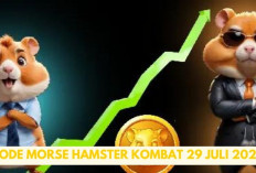 Gercepin Bro! Kode Morse Hamster Kombat Hari ini 29 Juli 2024 Sudah Keluar, Buruan Ambil Hadiah Sekarang... 