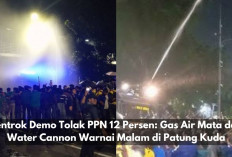 Bentrok Demo Tolak PPN 12 Persen, Gas Air Mata dan Water Cannon Warnai Malam di Patung Kuda