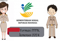 Simak Formasi PPPK Kemensos 2024, Lengkap Dengan Syarat Juga Info Penempatanya