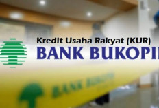 Temukan Solusi Keuangan Kamu di Simulasi KUR Bank Bukopin 2024, Pilihan Pintar untuk Pertumbuhan Bisnis!