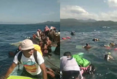 Kapal dengan Penumpang 59 Orang Tenggelam di Halmahera Selatan, 1 Orang Meninggal dan 1 Masih Hilang