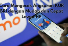 Cara Mengecek Angsuran KUR BRI dengan Mudah dan Cepat Lewat HP, Ini Langkahnya
