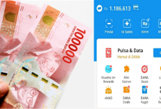 13 Link Penghasil Saldo DANA Gratis Paling Cuan Jutaan Rupiah dalam 1 Hari Tanpa KTP dan NIK, Yuk Klaim Masbro