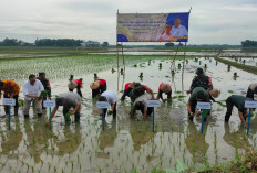Gile! Pompanisasi di Jawa tengah Ditarget Bisa Naikkan Produksi Besar Rp10 Triliun 