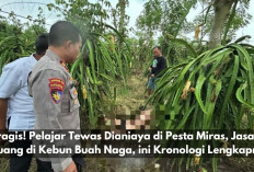 Tragis! Pelajar Tewas Dianiaya di Pesta Miras, Jasad Dibuang di Kebun Buah Naga, ini Kronologi Lengkapnya