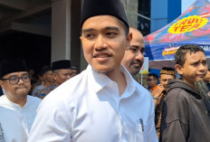 Benarkah Kaesang Akan Maju Untuk Mencalonkan diri Menjadi Cawagub 2024? Begini Ungkap Jimly Asshiddiqie...