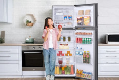 10 Rekomendasi Kulkas 2 Pintu Murah di Bawah Rp5 Juta, Hemat Listrik dan Stylish! 