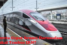 Keren! Kereta Cepat Brunei  Bakal Tembus ke IKN, di Kalimantan 