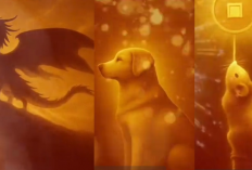 Naik Level di 2026! Inilah 3 Shio yang Akan Mengalami Terobosan Besar, Adakah Shio mu?