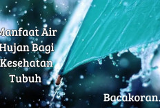 Ajaib! 5 Manfaat Air Hujan Bagi Kesehatan Tubuh, Salah Satunya Bisa Bikin Awet Muda Lho...