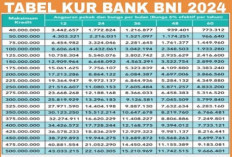 Tabel Angsuran KUR BNI 2024, Pinjam Rp40 Juta hingga Rp300 Juta, Berapa Cicilan Sebulan....